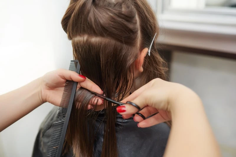 Haircut and Styling